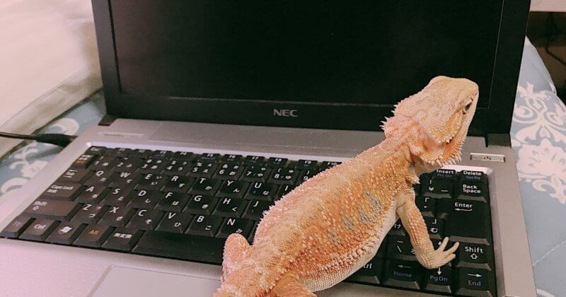 ノートパソコン