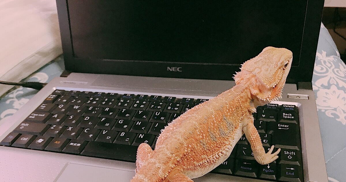 ノートパソコン